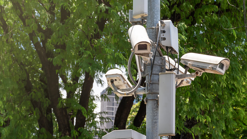 Four outdoor security cameras mounted on a metal pole with leafy green trees in the background.