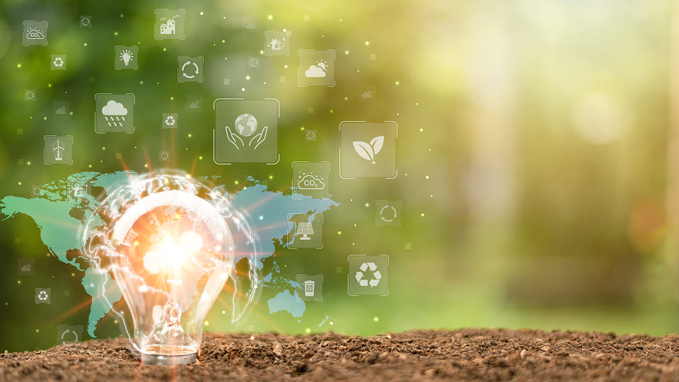 environmental conservation concept, protecting and preserving resources, planting trees to reduce global warming, using renewable energy, preserving natural forests,light bulb on the ground